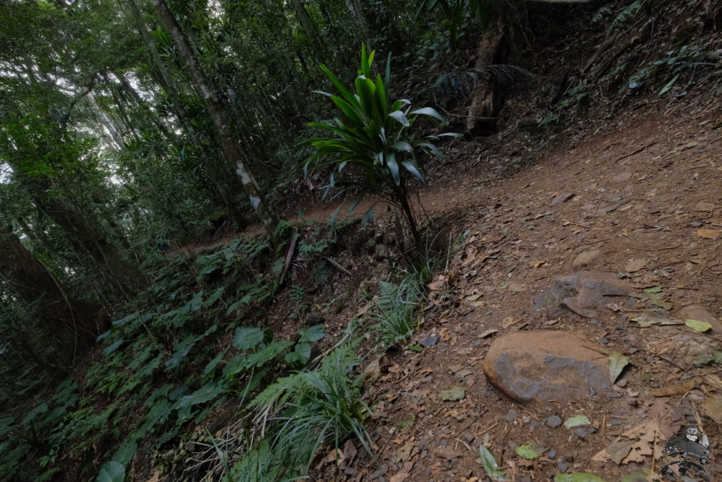 MainRangeNationalPark