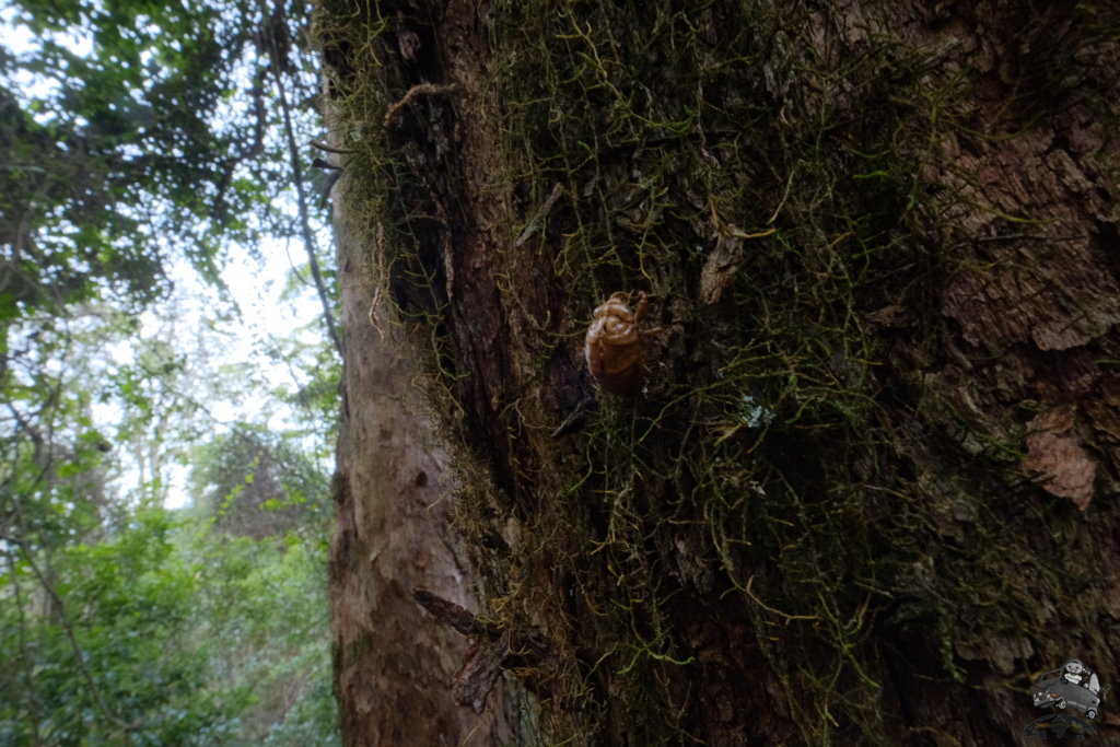 MainRangeNationalPark