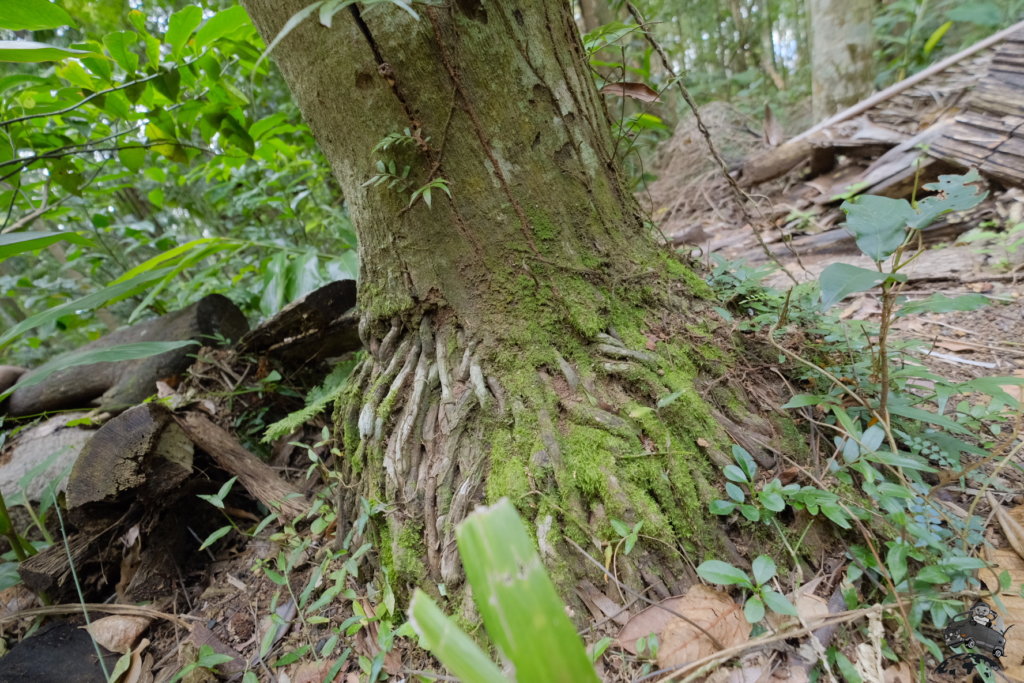 MainRangeNationalPark