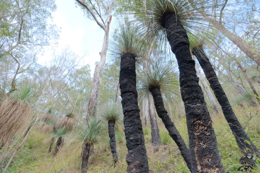 MainRangeNationalPark