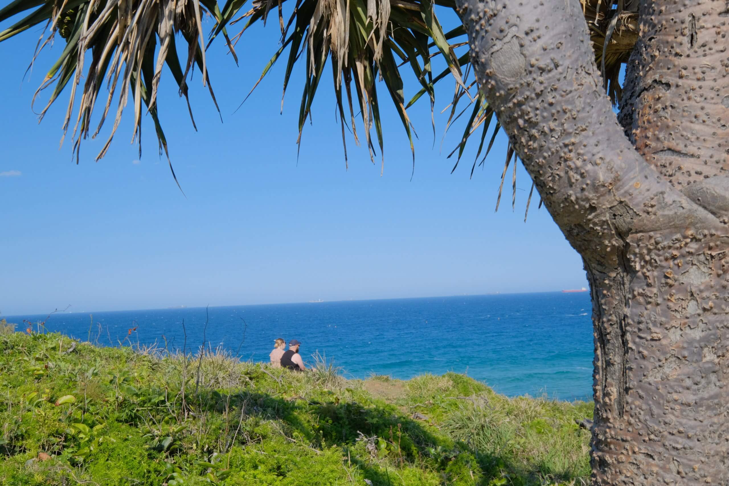 日本人の少ない都会 Sunshinecoastのビーチ沿い力 世界のどこかでおはよう 日本人の少ない都会 Sunshinecoastのビーチ沿い力 世界のどこかでおはよう