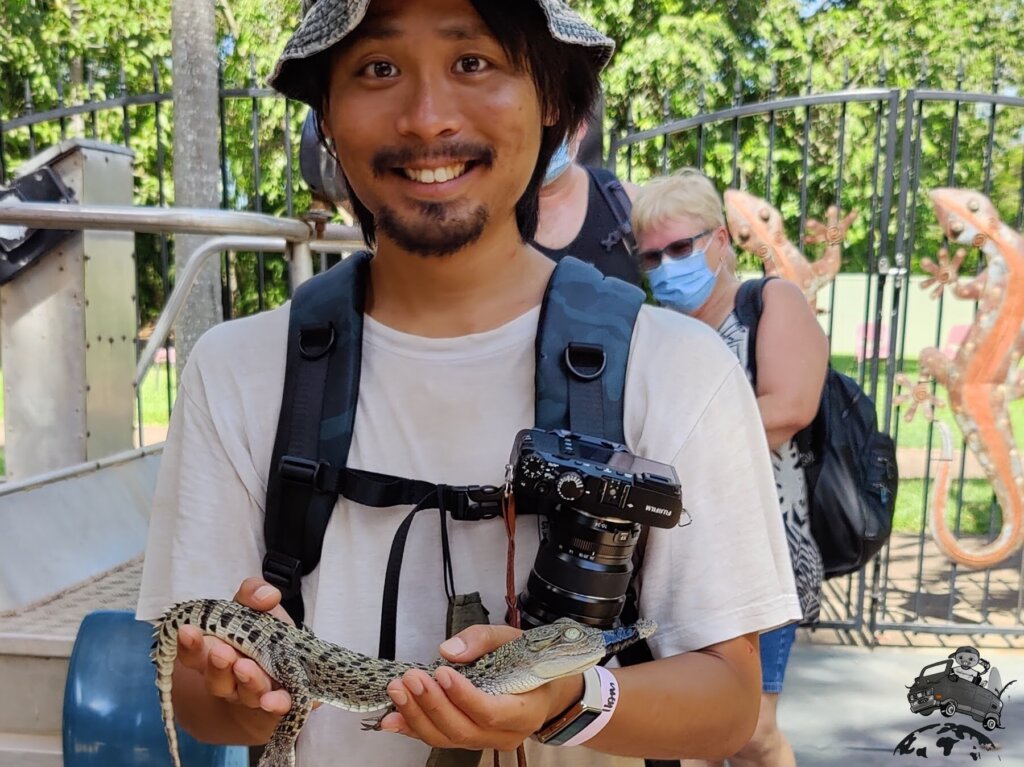 オーストラリア野生のワニ