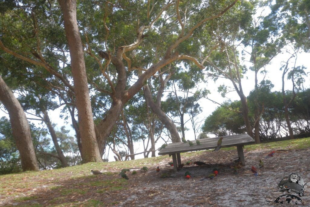 Jervis bay territory オーストラリア