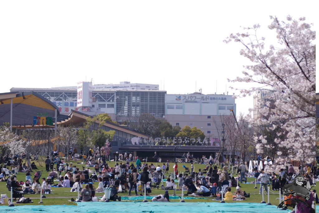 海外の友達と動物園