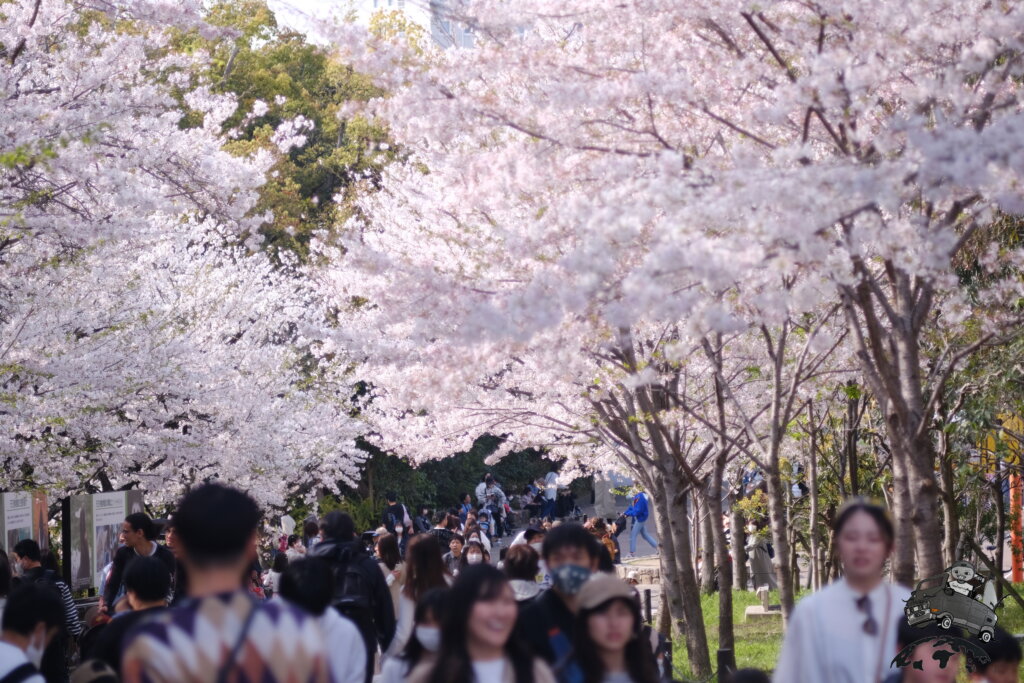 海外の友達と動物園