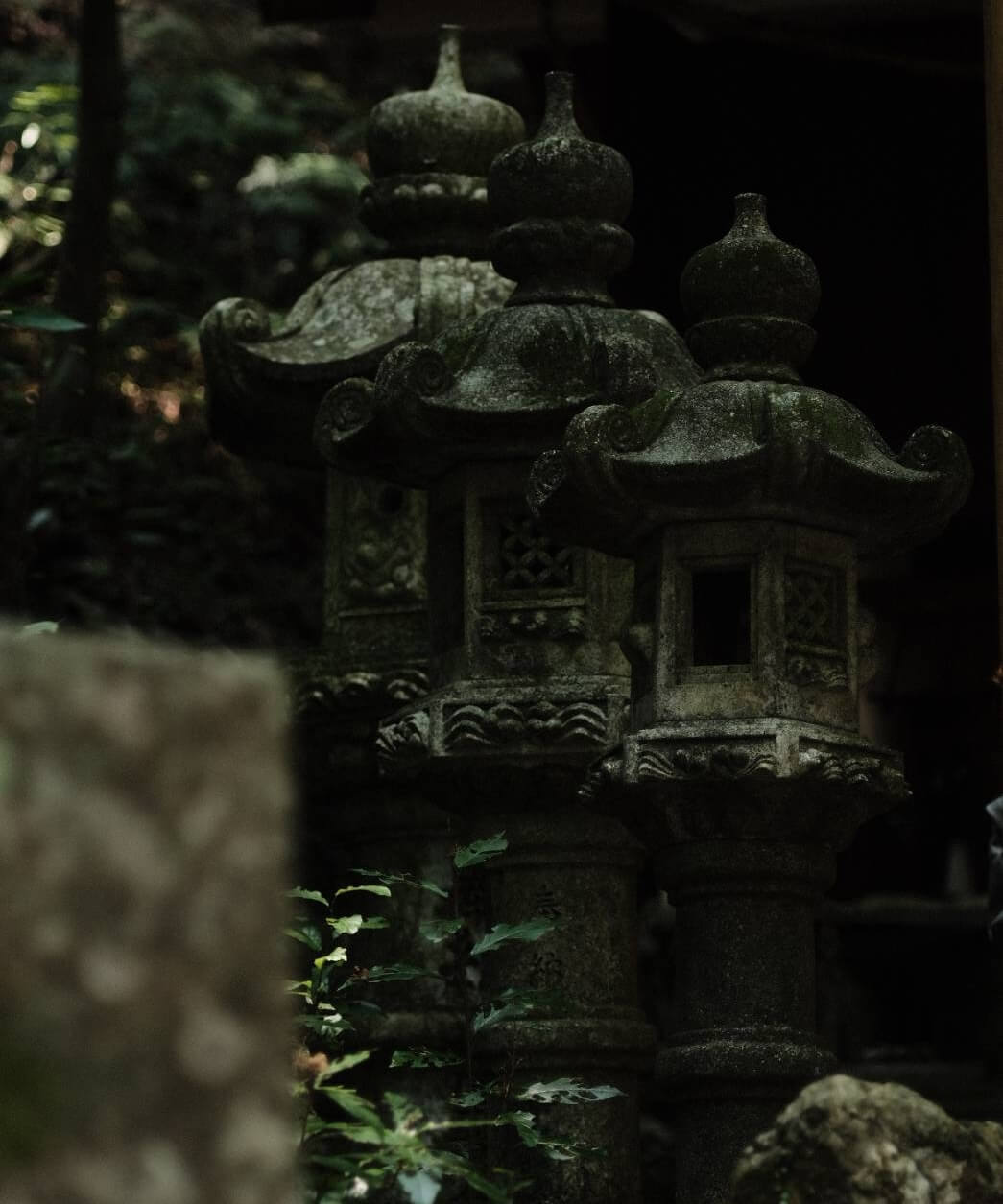 鳥羽還暦家族旅行