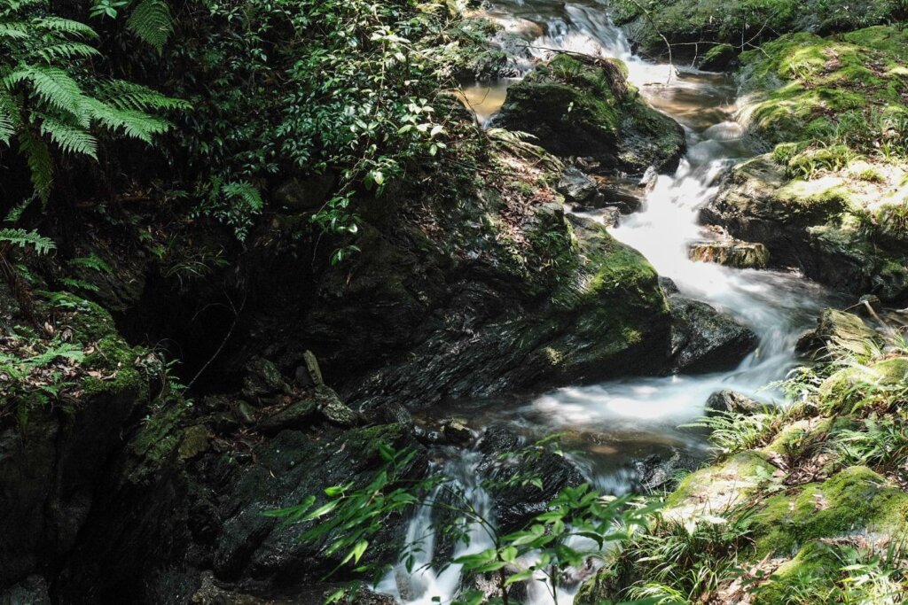 鳥羽還暦家族旅行