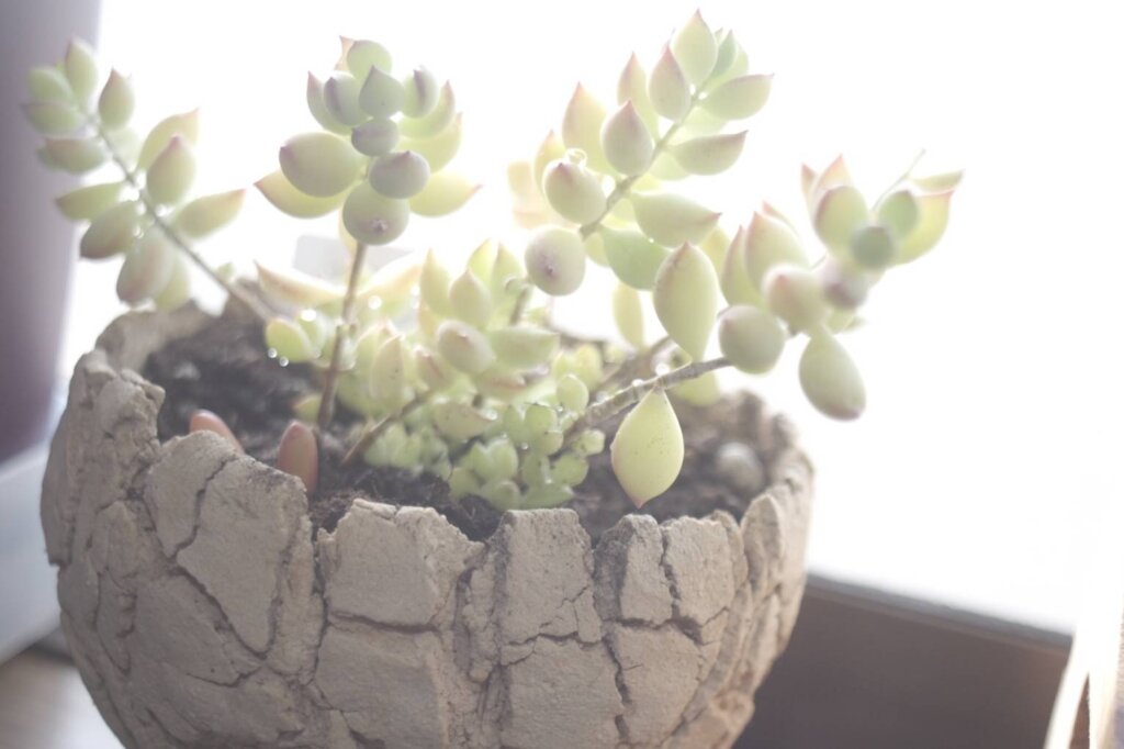 30代で家族支援