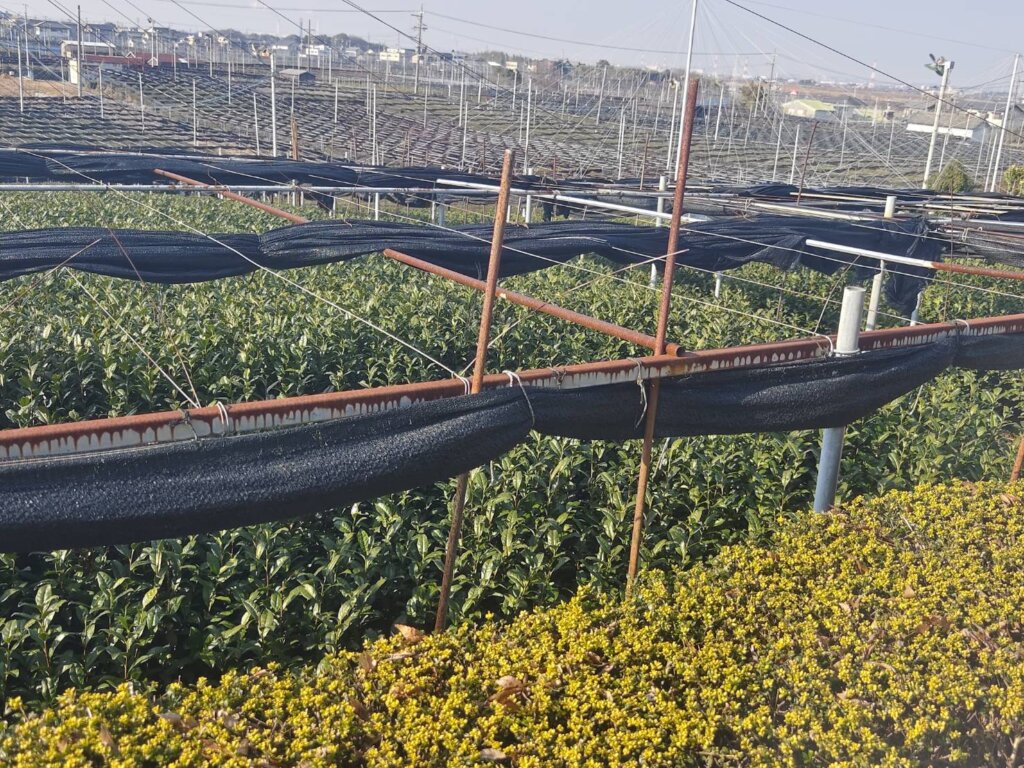 30代で家族支援