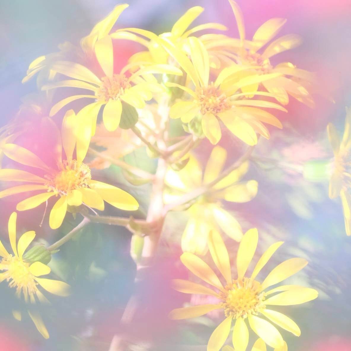 30代で家族支援