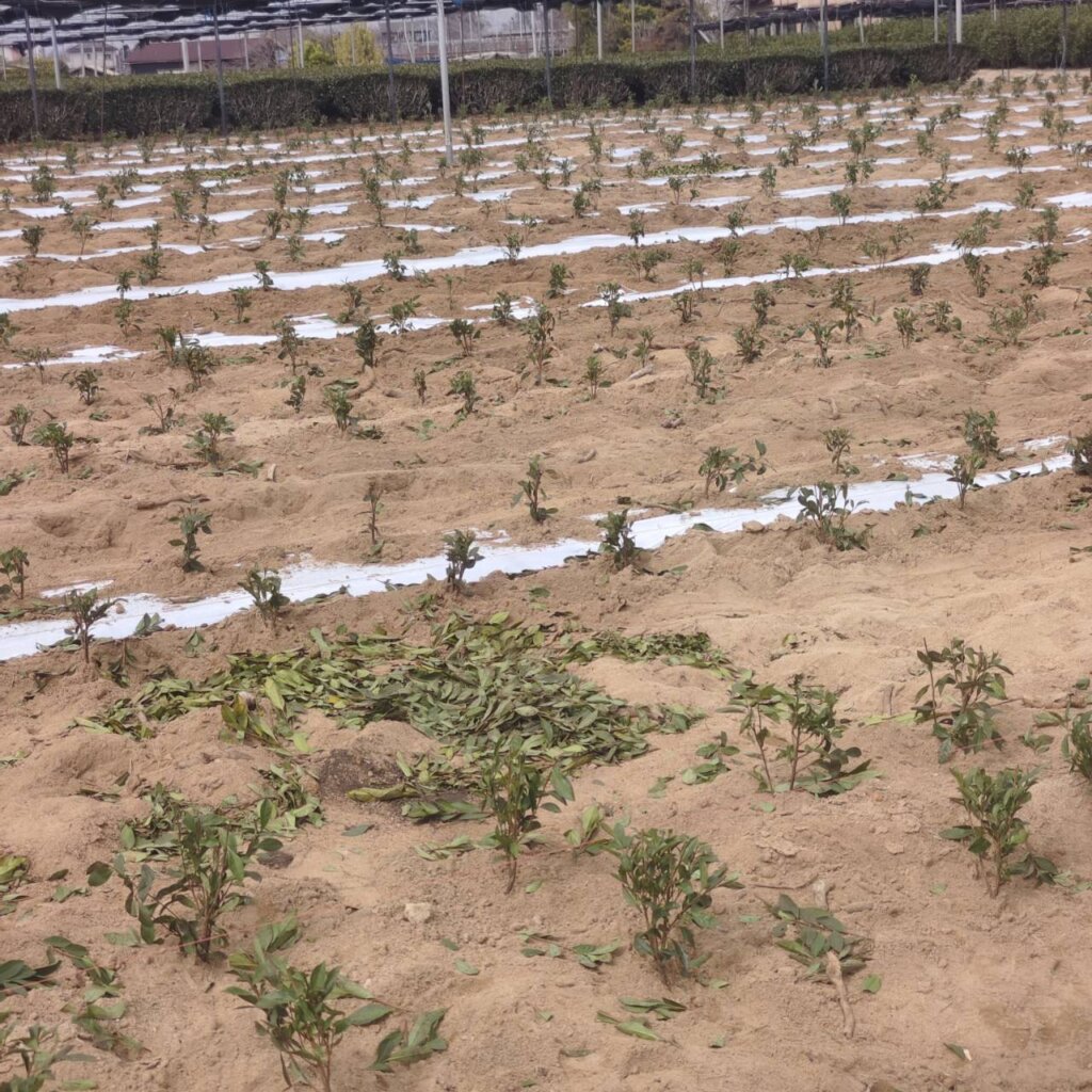 30代で家族支援